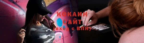 соль ск Каменногорск
