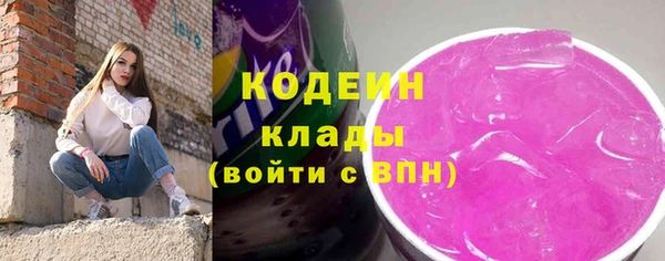 соль ск Каменногорск