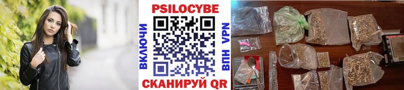 Галлюциногенные грибы Psilocybe  Козловка 